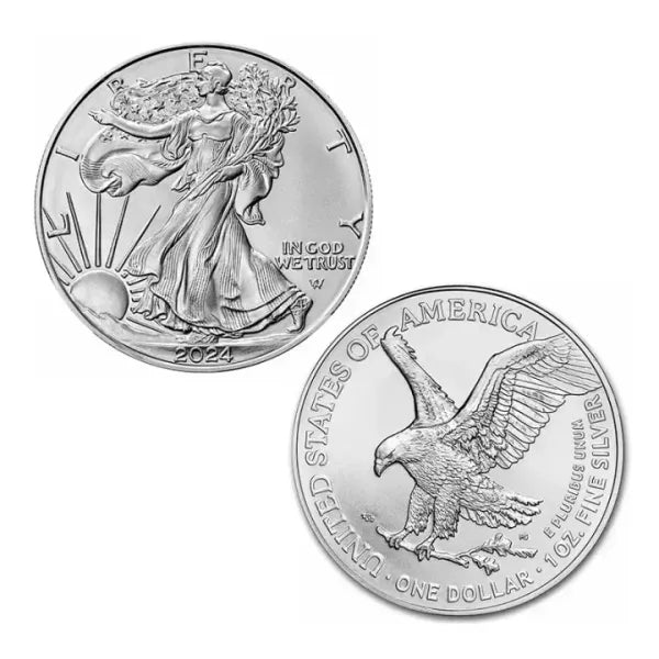 🔥 LAST DAY SPECIAL SALE 50% OFF 🔥 American Eagle 2024 Proof Coin