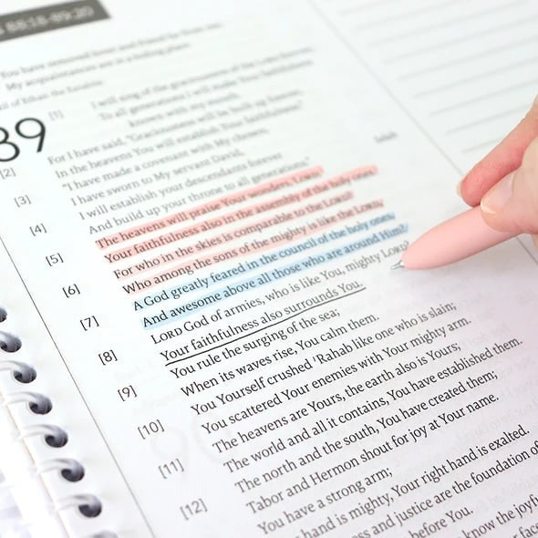 💖Last Day 50% OFF✨🏆A 52-Week Journey Through God's Word