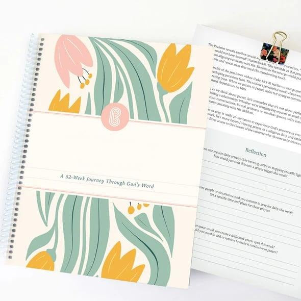 💖Last Day 50% OFF✨🏆A 52-Week Journey Through God's Word